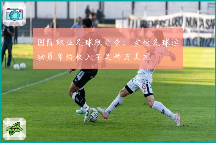国际职业足球联合会：女性足球运动员年均收入不足两万美元